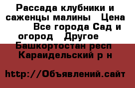 Рассада клубники и саженцы малины › Цена ­ 10 - Все города Сад и огород » Другое   . Башкортостан респ.,Караидельский р-н